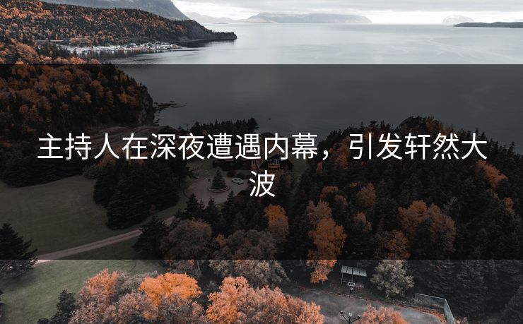 主持人在深夜遭遇内幕，引发轩然大波  第1张