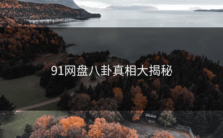91网盘八卦真相大揭秘