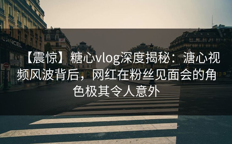 【震惊】糖心vlog深度揭秘：溏心视频风波背后，网红在粉丝见面会的角色极其令人意外  第1张