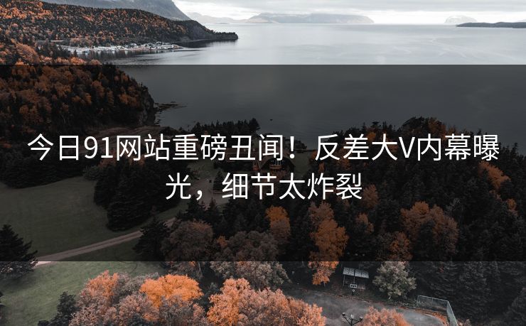 今日91网站重磅丑闻！反差大V内幕曝光，细节太炸裂  第1张