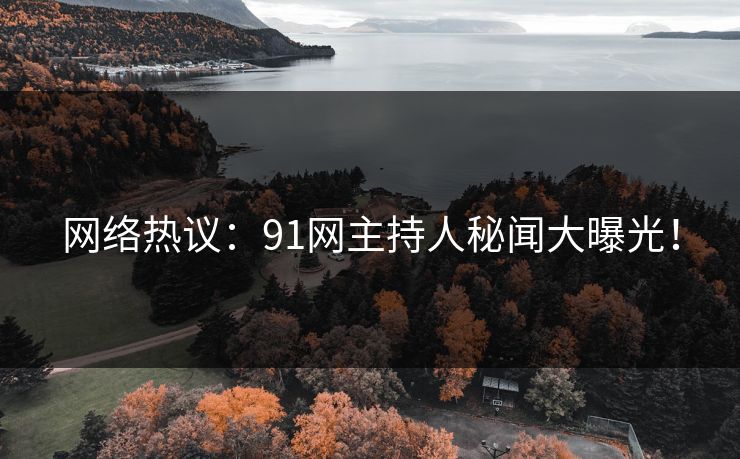 网络热议：91网主持人秘闻大曝光！
