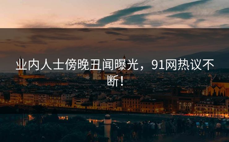 业内人士傍晚丑闻曝光，91网热议不断！