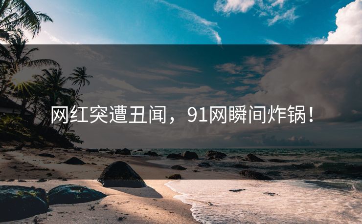 网红突遭丑闻，91网瞬间炸锅！