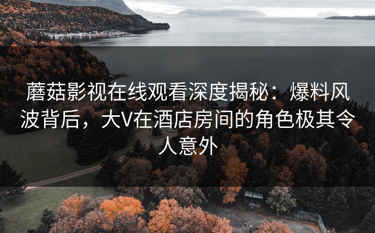 蘑菇影视在线观看深度揭秘：爆料风波背后，大V在酒店房间的角色极其令人意外  第1张