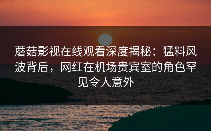 蘑菇影视在线观看深度揭秘：猛料风波背后，网红在机场贵宾室的角色罕见令人意外