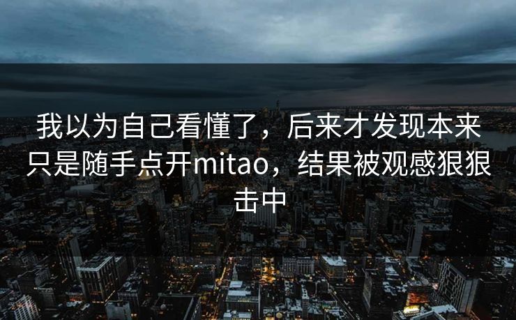 我以为自己看懂了,后来才发现本来只是随手点开mitao,结果被观感狠狠击中